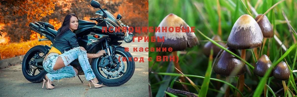 амфетамин Заволжск