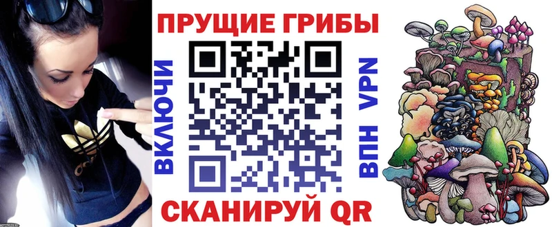 Псилоцибиновые грибы мицелий  Новочеркасск 