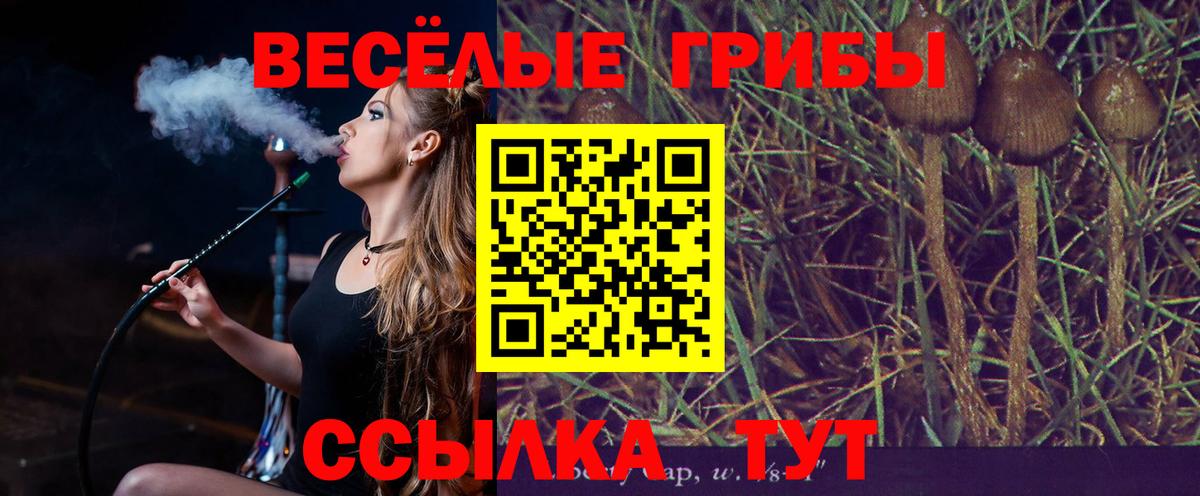Галлюциногенные грибы ЛСД Новочеркасск